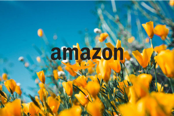 Al via la Festa delle offerte di Primavera su Amazon