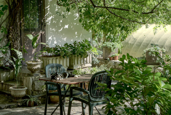 Come creare un sistema di irrigazione smart con Internet