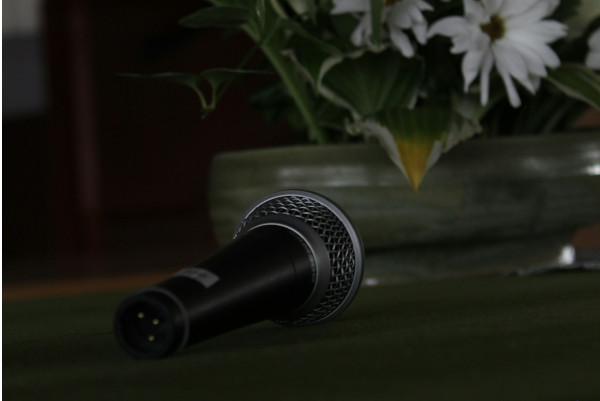 Come usare Internet per il karaoke e la musica in casa