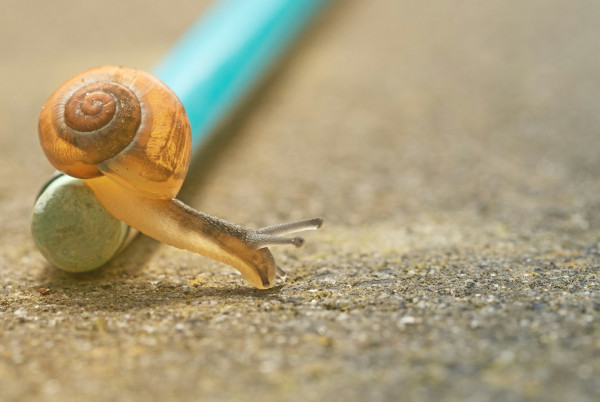 Internet lento? I 7 errori pi� comuni da non commettere